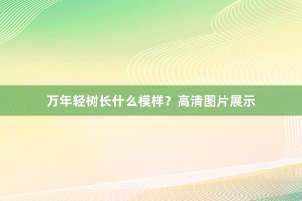 万年轻树长什么模样？高清图片展示