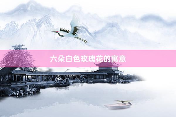 六朵白色玫瑰花的寓意