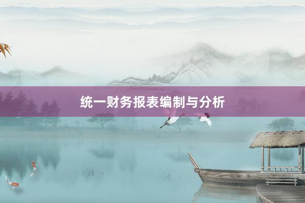 统一财务报表编制与分析